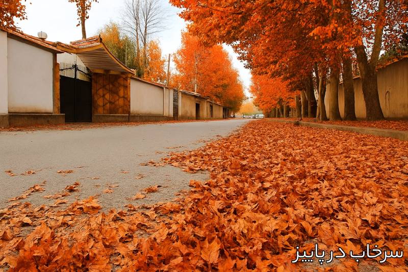 سرخاب در پاییز