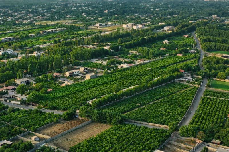 تصویری از باغات سعیدآباد تهراندشت