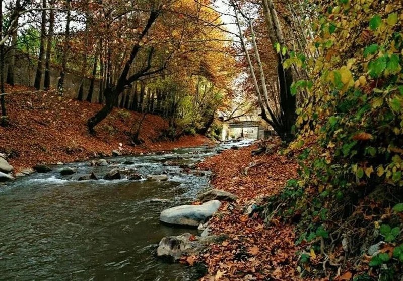 کردان