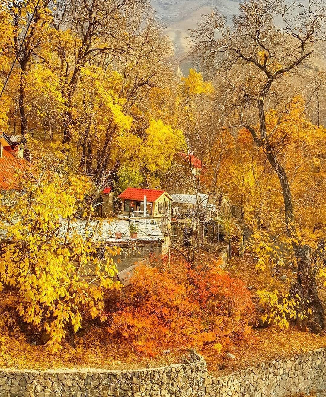 یک ویلای جنگلی در کردان